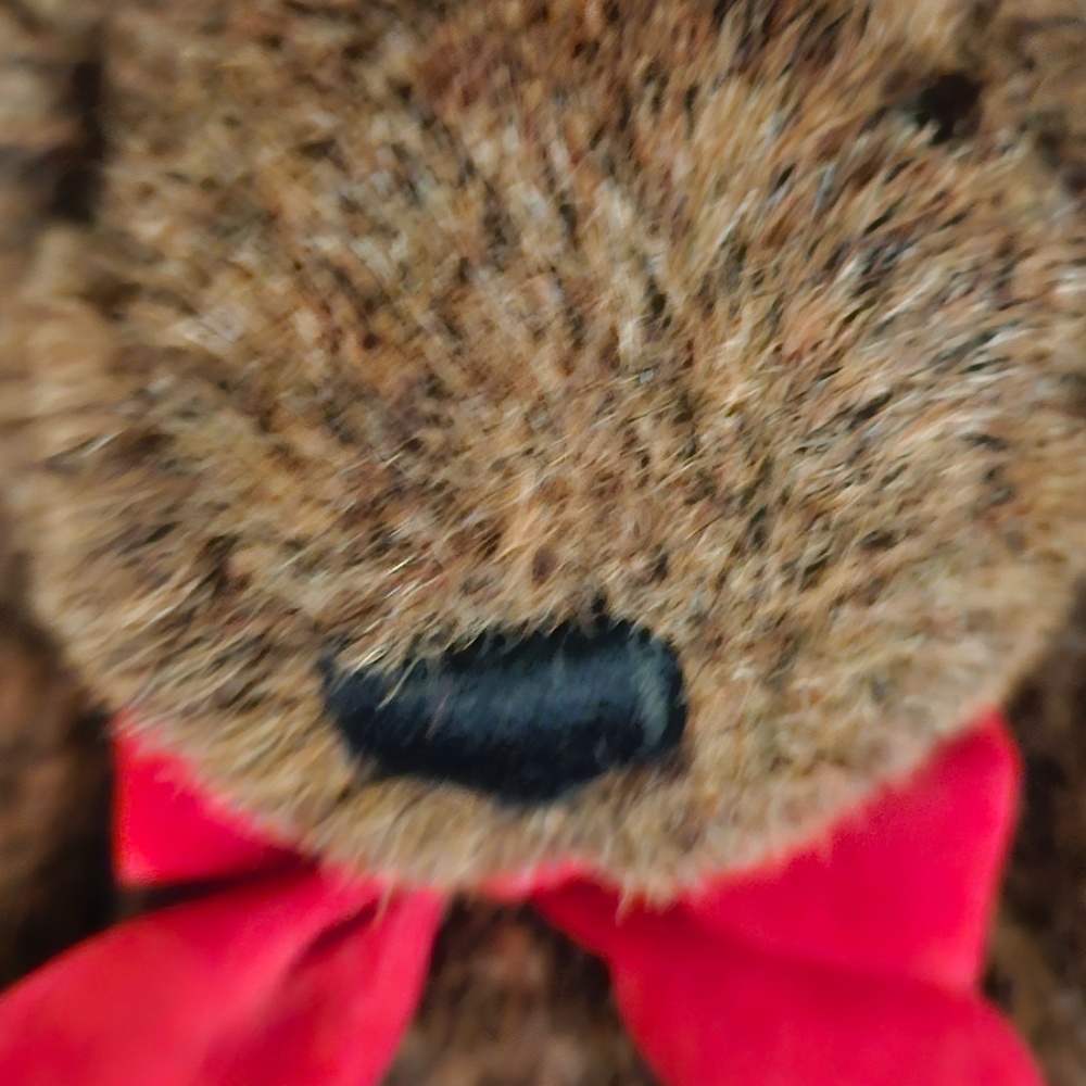 Gund Teddy Bear - Picture 2 of 4
